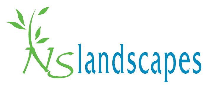 NS Landscapes
