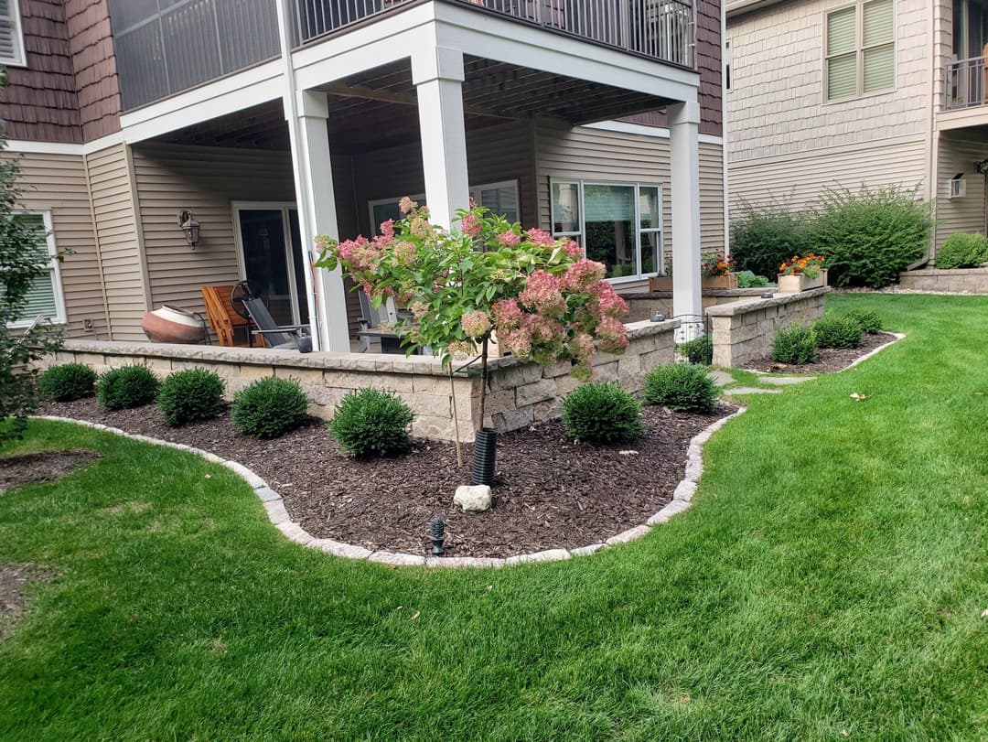 Lush garden with flowering plant, bordered by stone, under a residential patio.