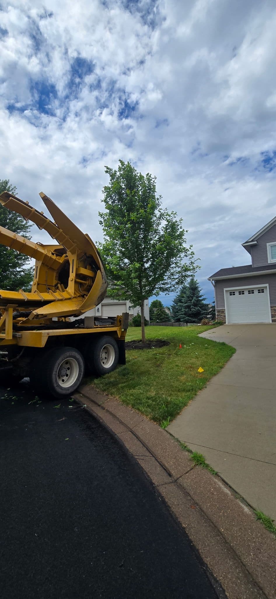 Project Mature Tree Spade Installs That Give You Instant Curb Appeal image