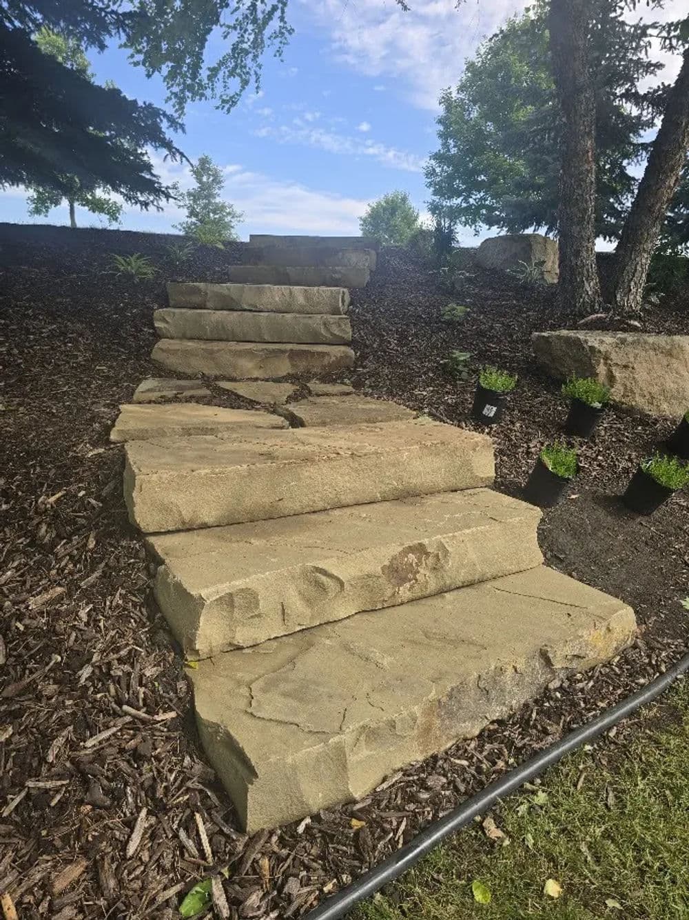 Natural stone steps leading up a grassy path with trees in the background.