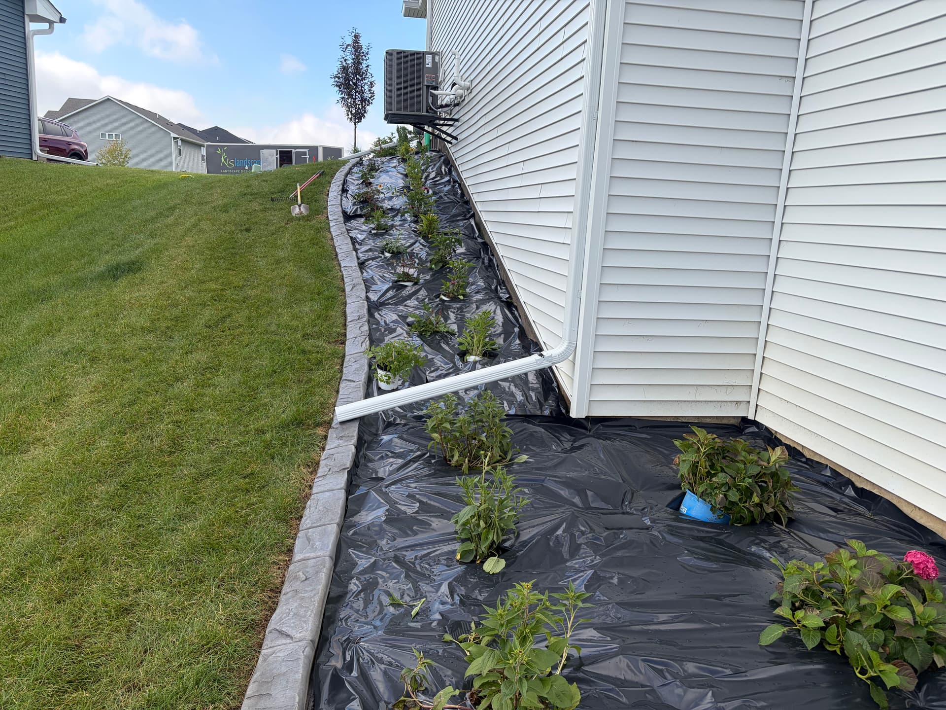 Gallery photos for 80+ New Plantings and Fresh Curb Edging in Lakeville: Image #2