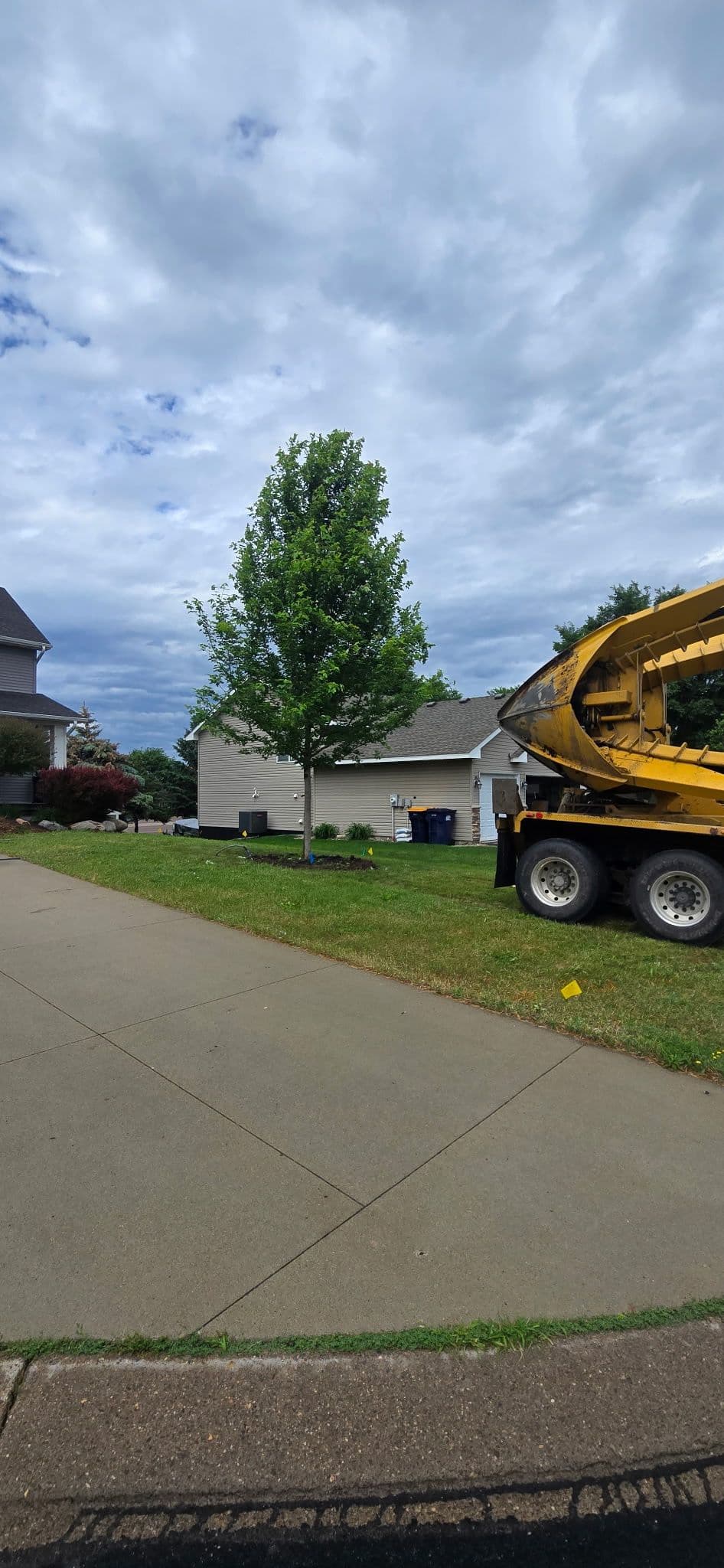 Gallery photos for Mature Tree Spade Installs That Give You Instant Curb Appeal: Image #1